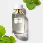 Boucheron Patchouli de Angkor perfume