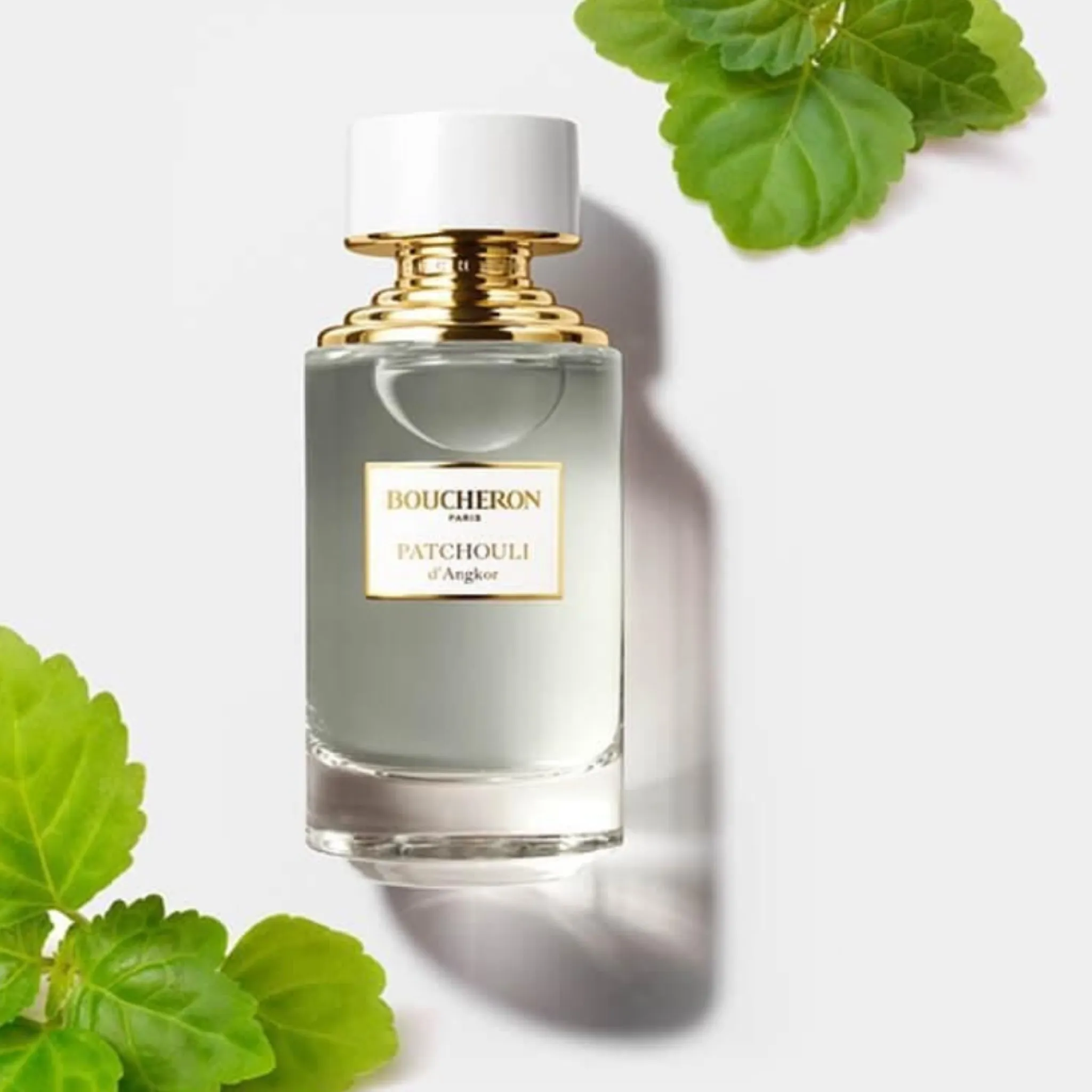 Boucheron Patchouli de Angkor perfume Boucheron Patchouli de Angkor perfume